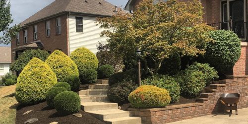 Landscaping, Landscaping Company, Landscaping Contractor, Landscaping Company